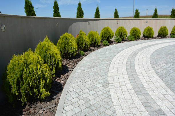 Best Affordable Driveway Pavers  in Lakeland, MN